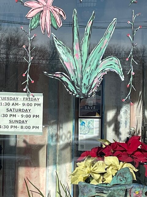 designsbykarla agave